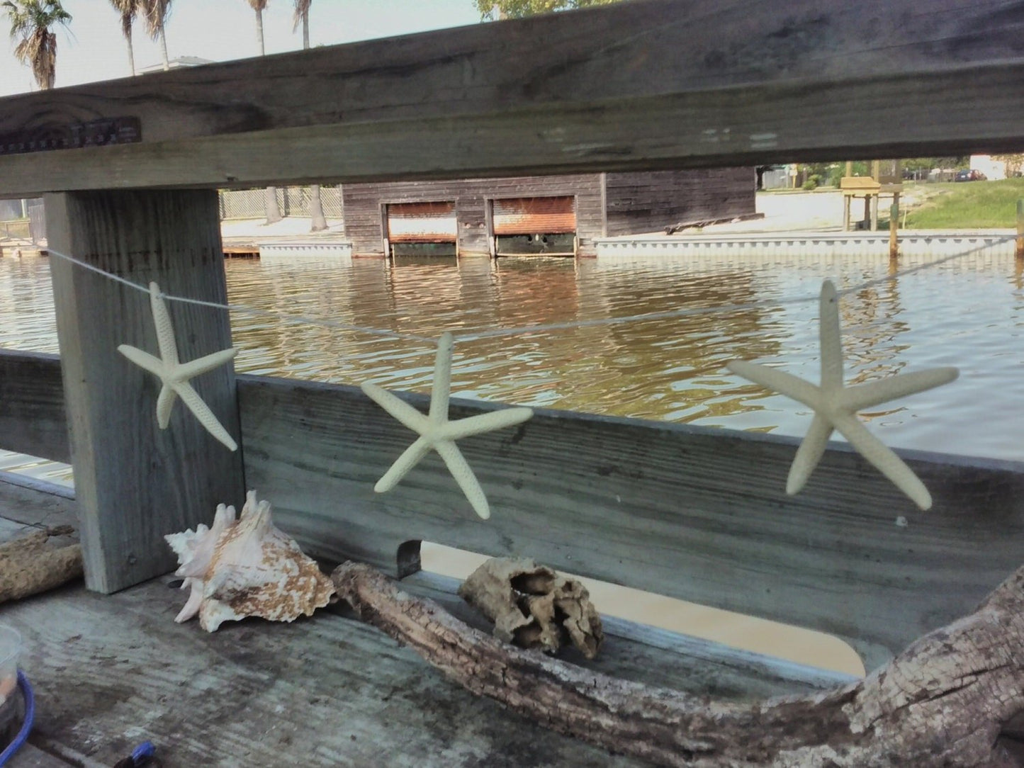 White Finger Sea Stars Coastal Decor Garland Starfish on String DIY Do it yourself Decorating Bunting Banners Display Mermaid Party Theme