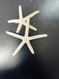 White Pencil Finger Starfish 2-3", 3-4", 4-6"