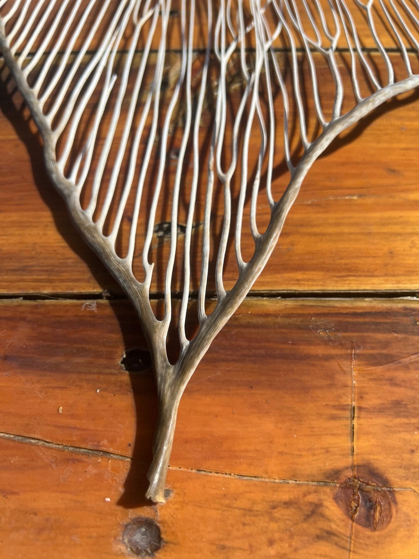 White Sea Fan Coral Whip- 23"