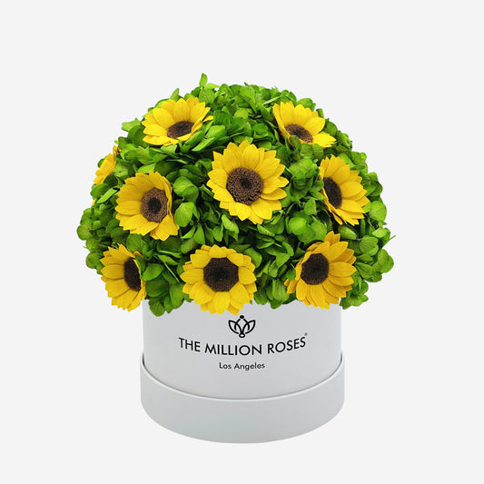 Classic White Box | Green Hydrangeas & Sunflowers