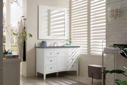 Palisades 48" Single Vanity Cabinet, Bright  White