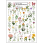 Wildflowers of Texas Poster – 19" x 27"