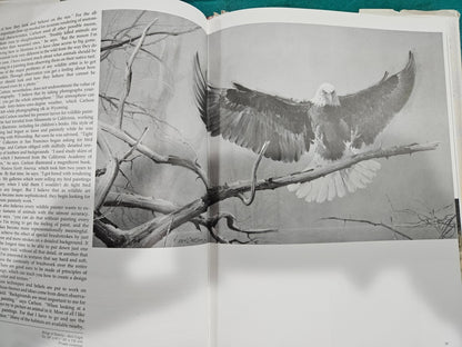 Wildlife Artists at Work by Patricia Van Gelder (Hardcover, Pre-Owned)