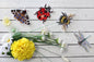 Winged Friends. Magnets SR-488  Plastic Canvas Counted Cross Stitch