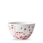 Winterberries Dinnerware & Serving Pieces