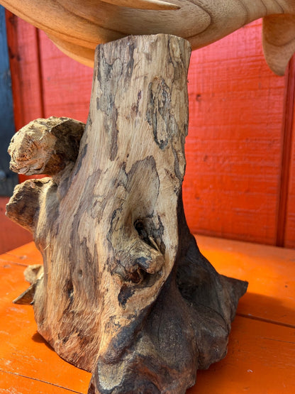 Wood Dolphin On Root Base-2 Sizes