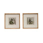 Wood Framed Wall Decor with Bird, Set of 2