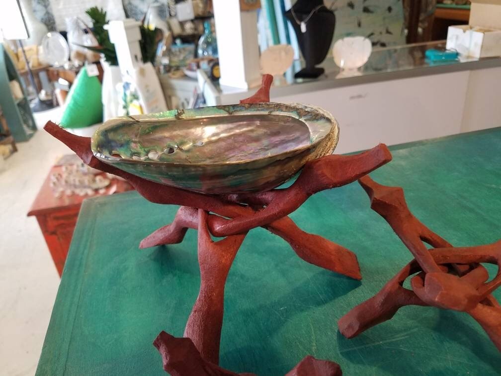 Wooden Display Stand- "Cobra Snake" for Shells, Rocks, Eggs