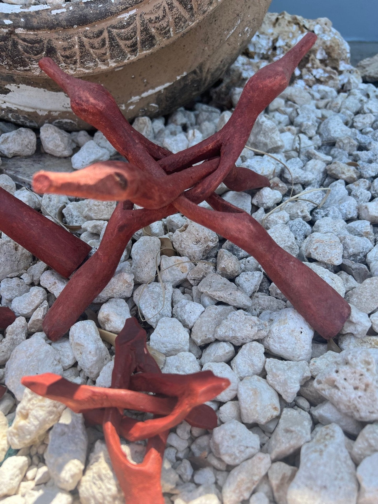 Wooden Display Stand- "Cobra Snake" for Shells, Rocks, Eggs