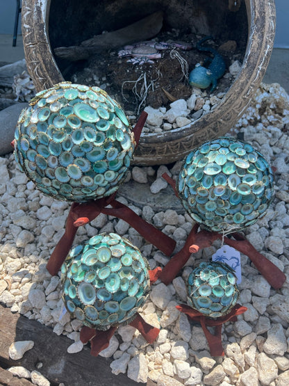 Wooden Display Stand- "Cobra Snake" for Shells, Rocks, Eggs