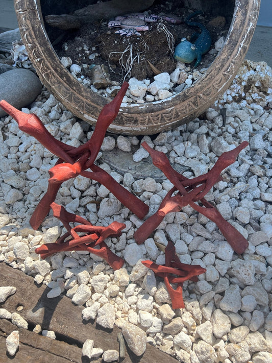 Wooden Display Stand- "Cobra Snake" for Shells, Rocks, Eggs