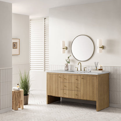 Hudson 60" Single Vanity Cabinet