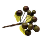 Grape Cluster - 5 Inch - Maroon and Olive