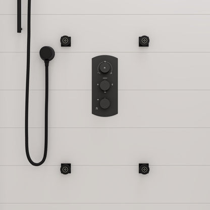 ALFI brand AB7938 Sliding Rail Hand Shower Set