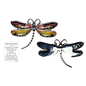 Dragonfly Inspriational Pocket Charm -