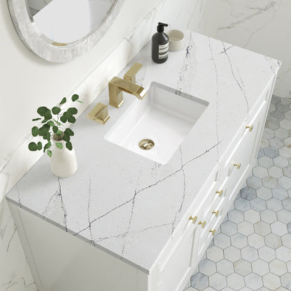 Chicago 48" Single Vanity Cabinet