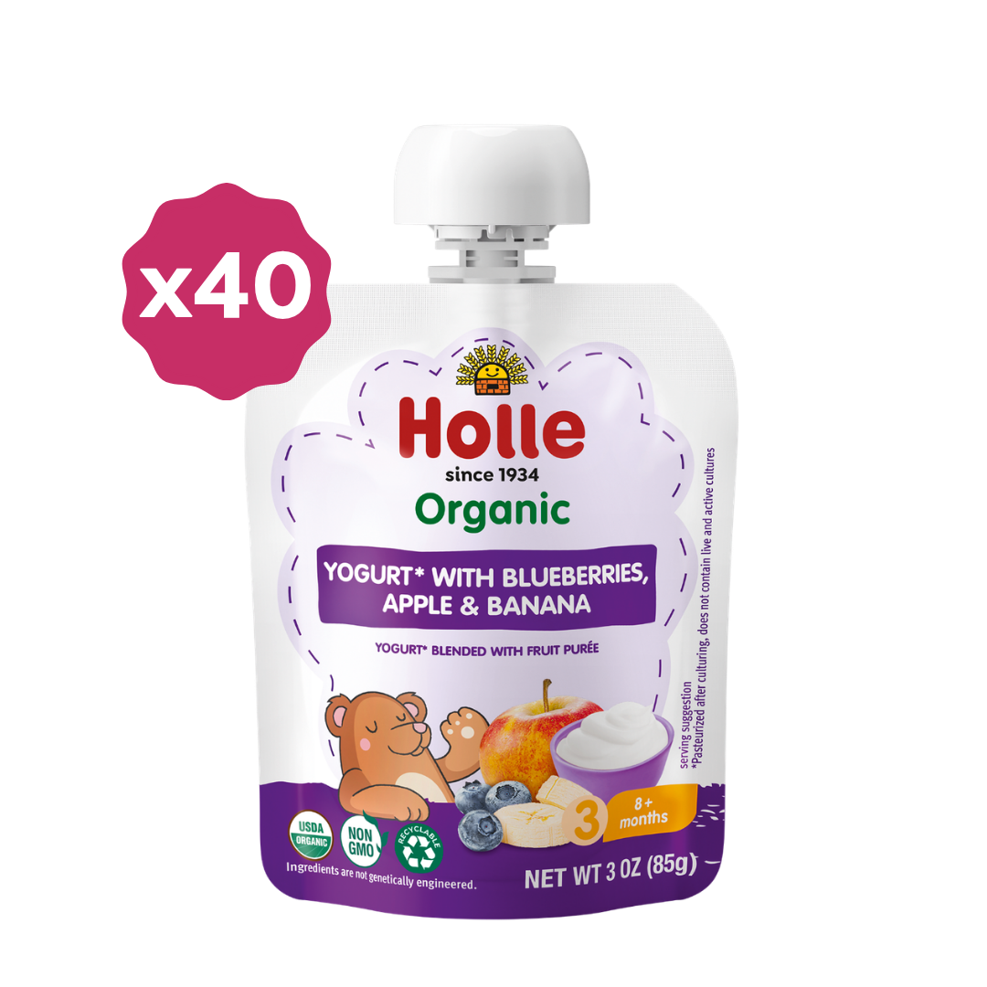 Holle Organic Yogurt Pouches - Blueberries, Apple & Banana