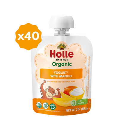 Holle Organic Yogurt Pouches - Mango