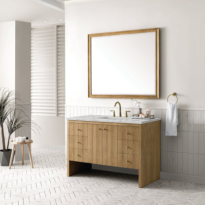 Hudson 48" Single Vanity Cabinet