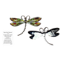 Dragonfly Inspriational Pocket Charm -