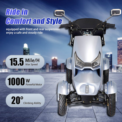 Zvg Heavy Duty 1000W 60V/20AH Four Wheel All-Terrain Travel Mobility Scooter, 440LBS (SAK91645)