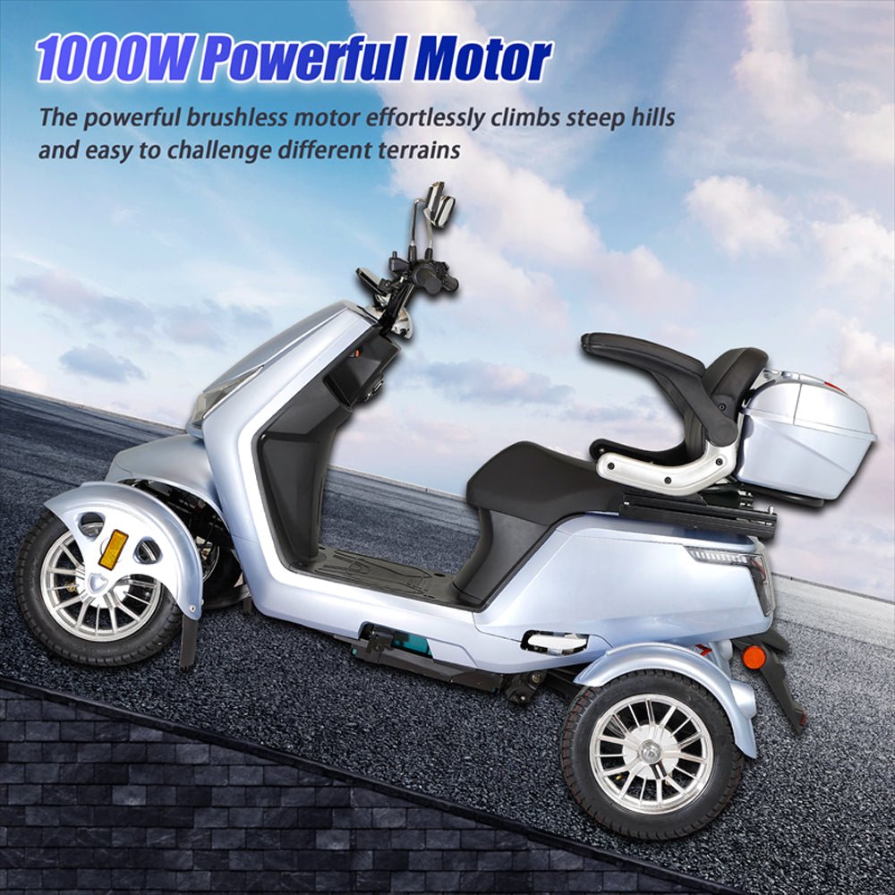 Zvg Heavy Duty 1000W 60V/20AH Four Wheel All-Terrain Travel Mobility Scooter, 440LBS (SAK91645)