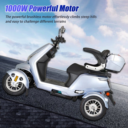 Zvg Heavy Duty 1000W 60V/20AH Four Wheel All-Terrain Travel Mobility Scooter, 440LBS (SAK91645)