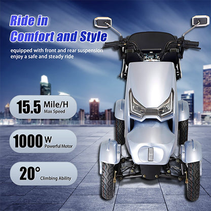 Zvg Heavy Duty 1000W 60V20AH Four Wheel All-Terrain Travel Mobility Scooter, 440LBS (SAK97245)