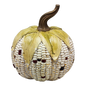 Corn on the Cob Style Pumpkin -